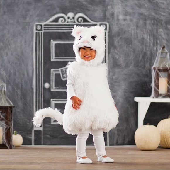 Pottery Barn Kids Costumes Pottery Barn Kids Cats Costume Size 23